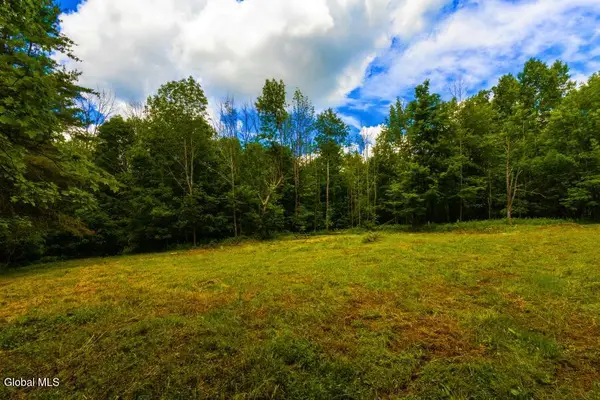 L4.111 Anderson Road, Middleburgh, NY 12122