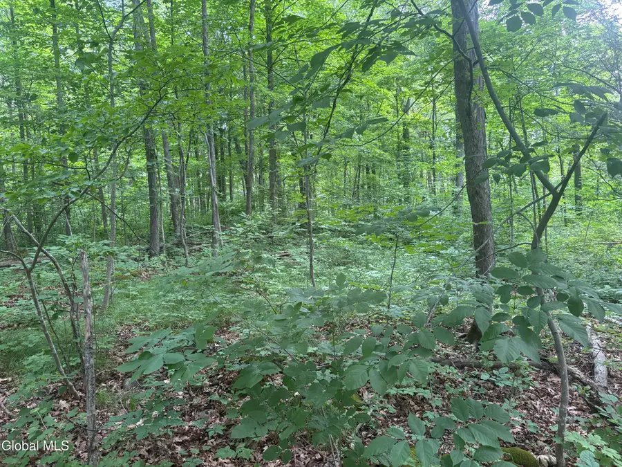 L1.022 Delaware, Feura Bush, NY 12054 - #2