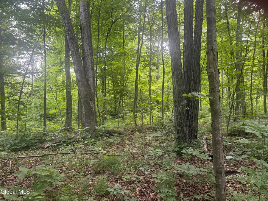 L1.022 Delaware, Feura Bush, NY 12054 - #3