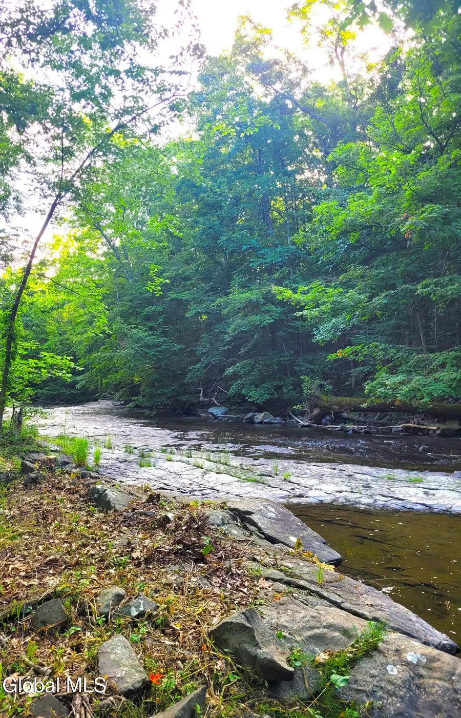 1522 Red Mill Road, Greenville, NY 12083 - #2