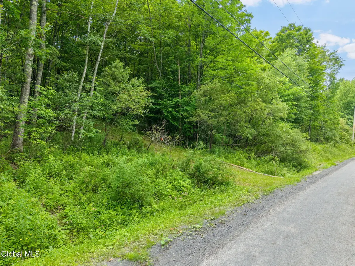 441 Dodge Lodge Road, Richmondville, NY 12149 - #1