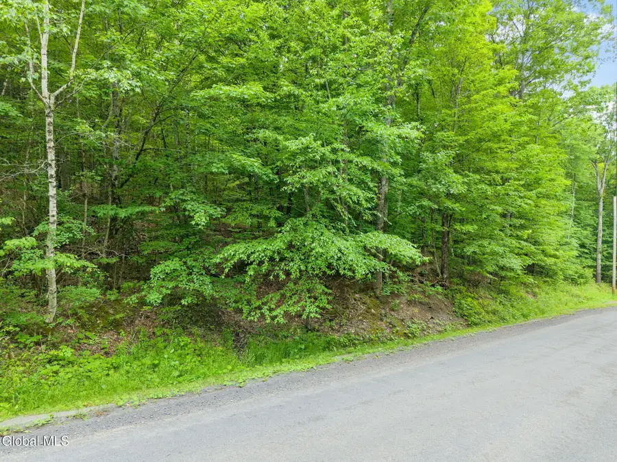 441 Dodge Lodge Road, Richmondville, NY 12149 - #3