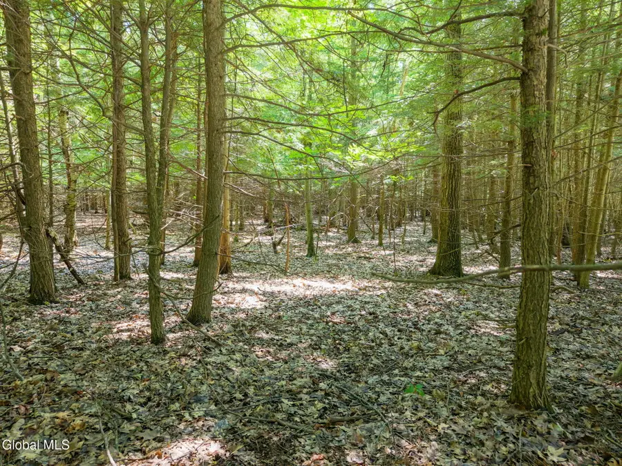 L3 Bridge Road, Middleburgh, NY 12023 - #2