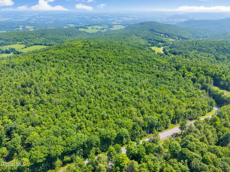 L3 Bridge Road, Middleburgh, NY 12023 - #3