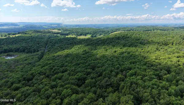L27.5 Gorton Lake Rd, Sangerfield, NY 13455