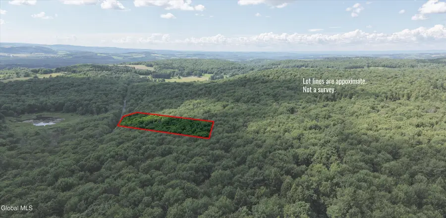 L27.5 Gorton Lake Rd, Sangerfield, NY 13455 - #2