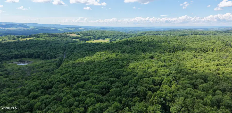 L27.5 Gorton Lake Rd, Sangerfield, NY 13455 - #3