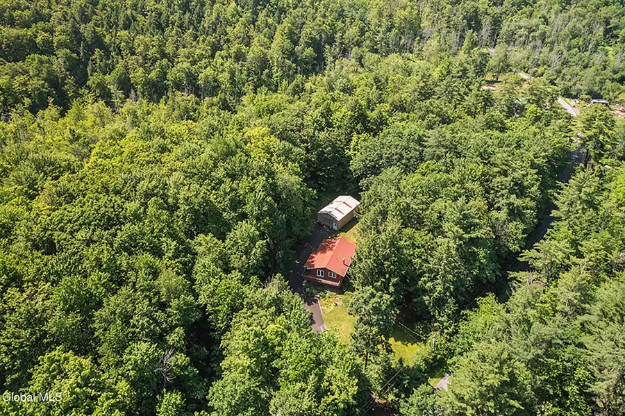 421 W Shore Road, Delanson, NY 12053 - #3