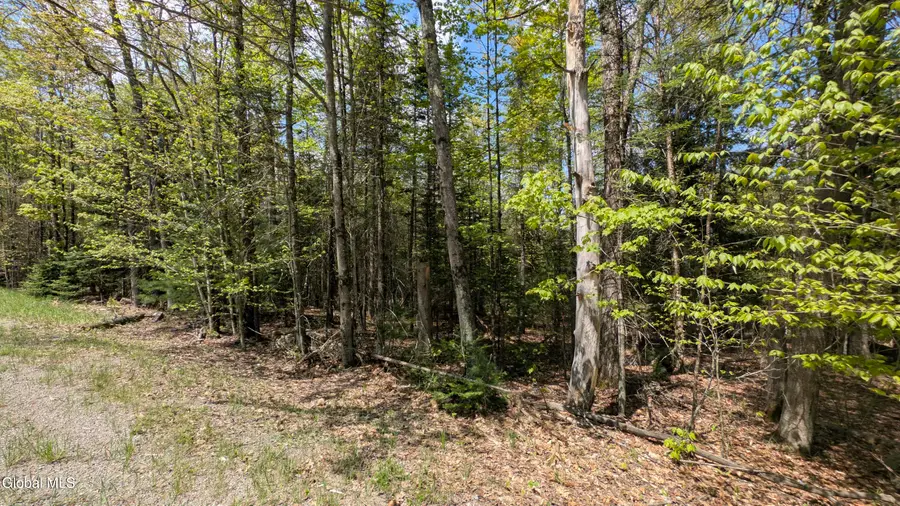 360 Igerna Road, Chester, NY 12853 - #2