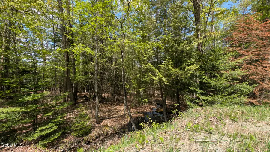 360 Igerna Road, Chester, NY 12853 - #3