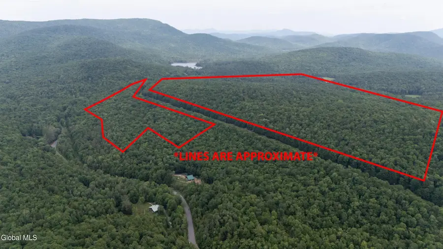 L50 Gilmantown Road, Wells, NY 12190 - #2
