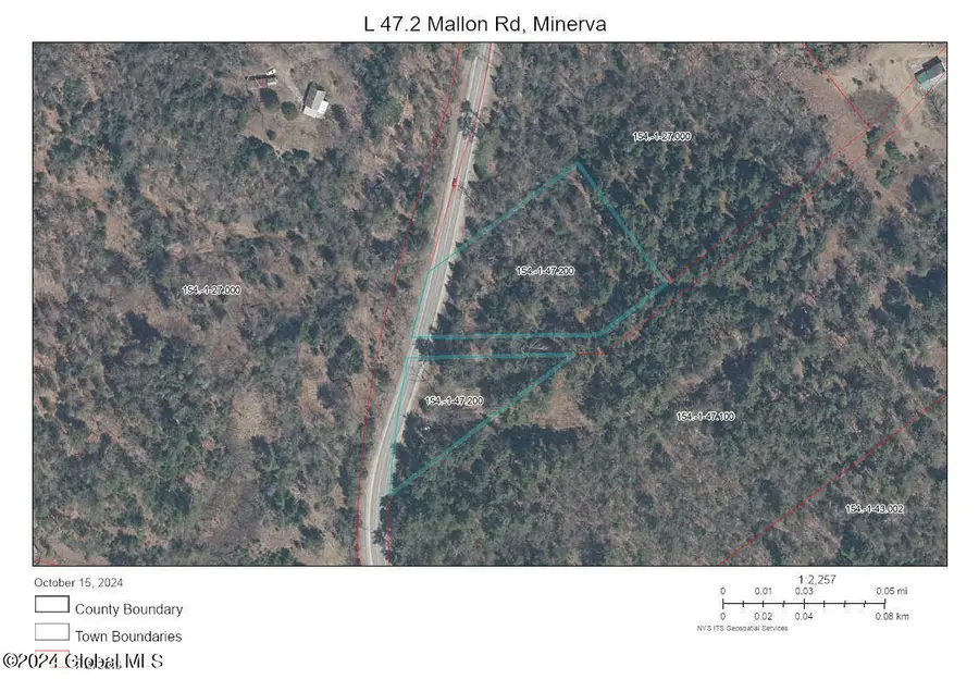 L47.2 Mallon Road, Minerva, NY 12857 - #2