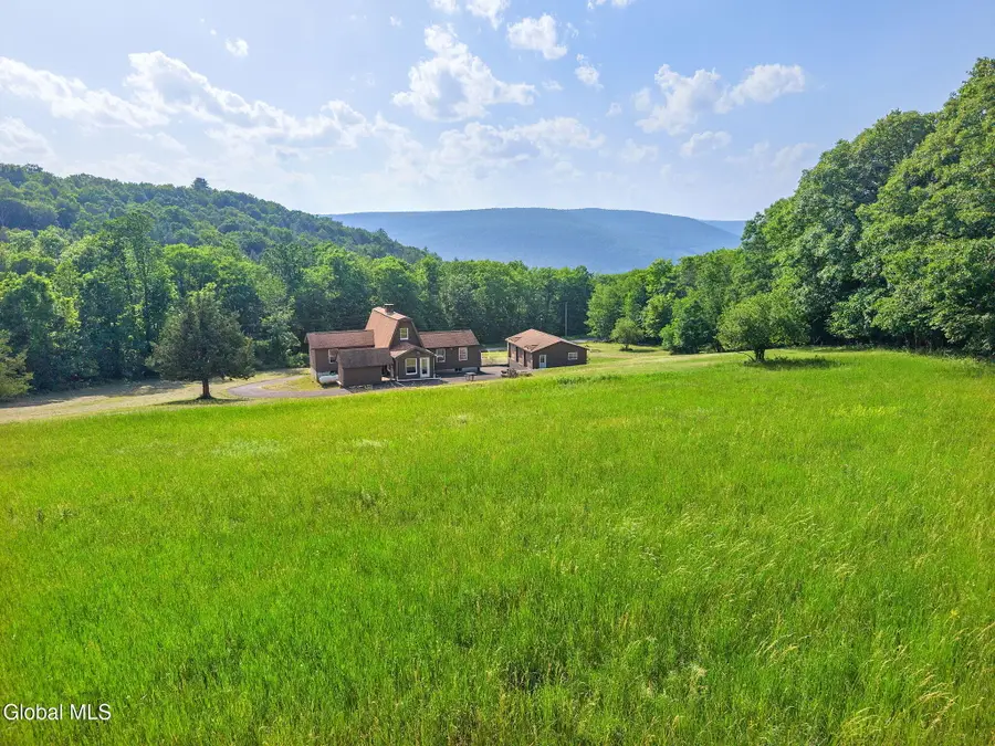 1008 Guinea Road, Middleburgh, NY 12122 - #2