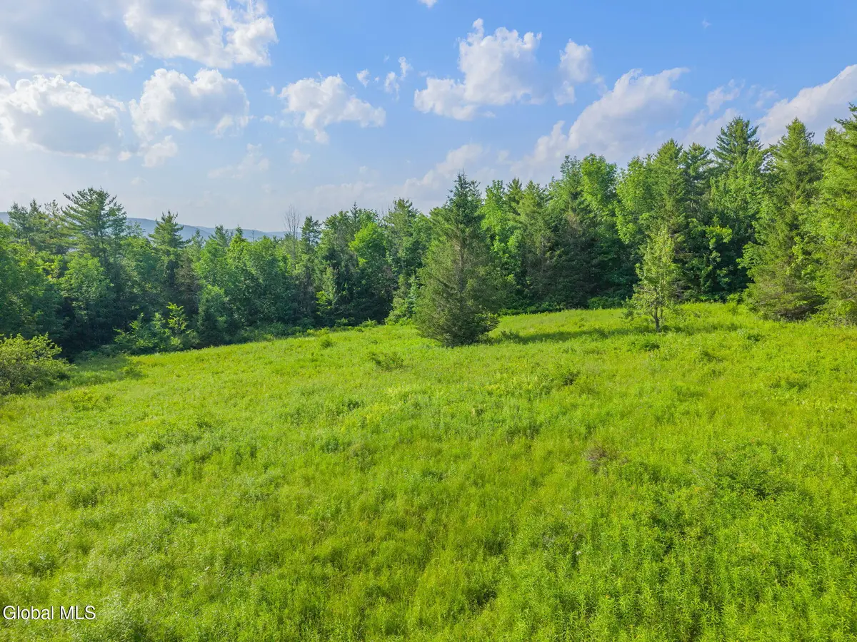 L6 Guinea Road, Middleburgh, NY 12122 - #1