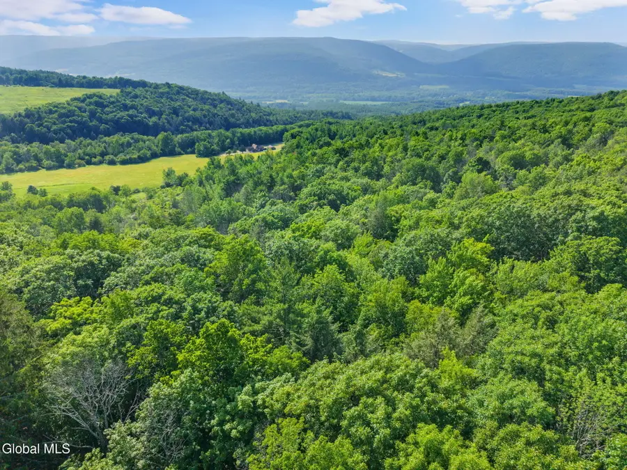 L6 Guinea Road, Middleburgh, NY 12122 - #3
