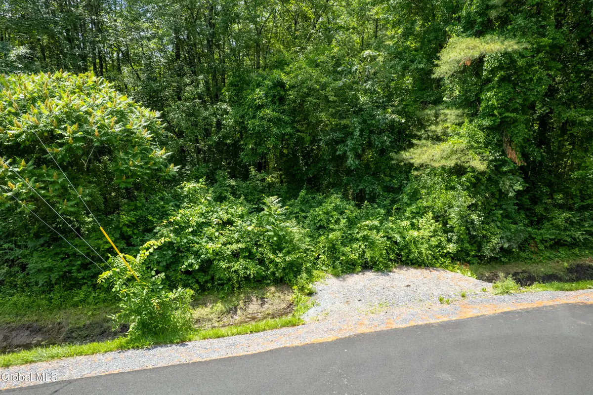 284-290 Burt Road, Moreau, NY 12828 - #1