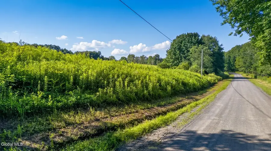 L14.01 Hinman Road, Middlefield, NY 13326 - #3