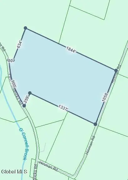 L14.02 Hinman Road, Middlefield, NY 13326 - #2