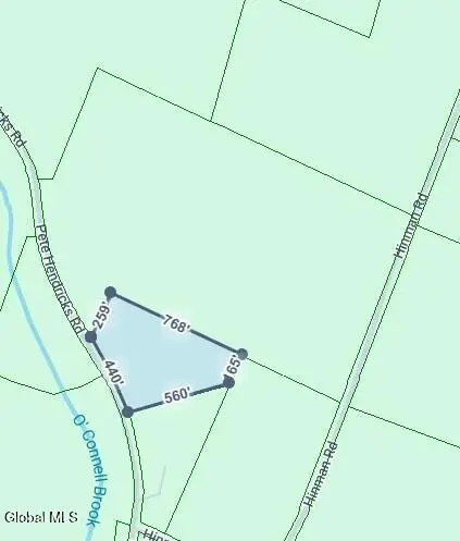 L14.02 Hinman Road, Middlefield, NY 13326 - #3