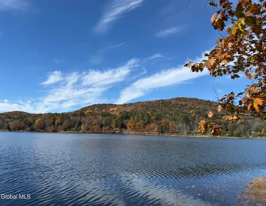 12 Teds Way, Diamond Point, NY 12824 - #2