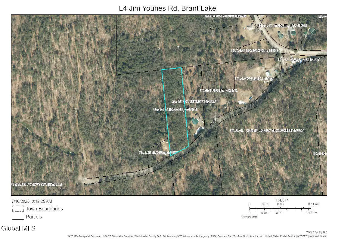 L4 Jim Younes Road, Horicon, NY 12815 - #1