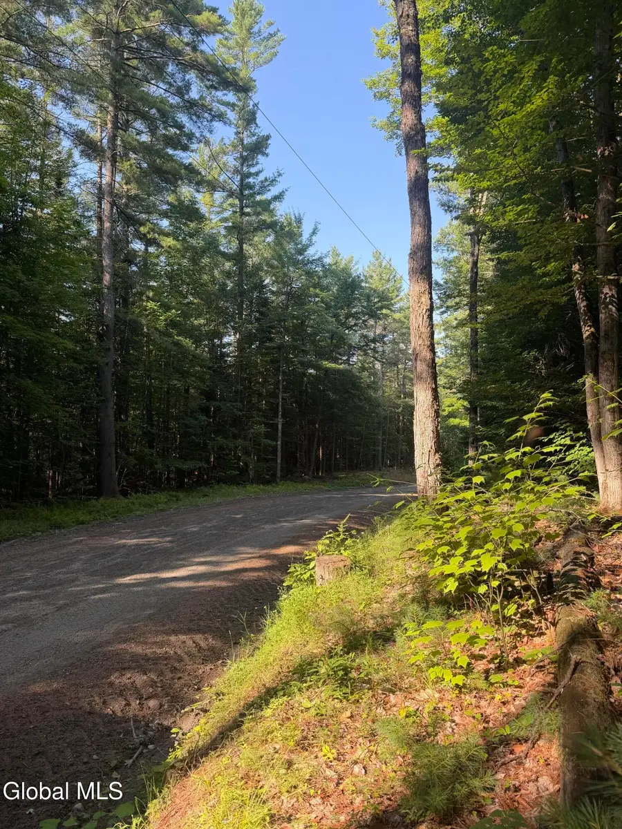 L4 Jim Younes Road, Horicon, NY 12815 - #2