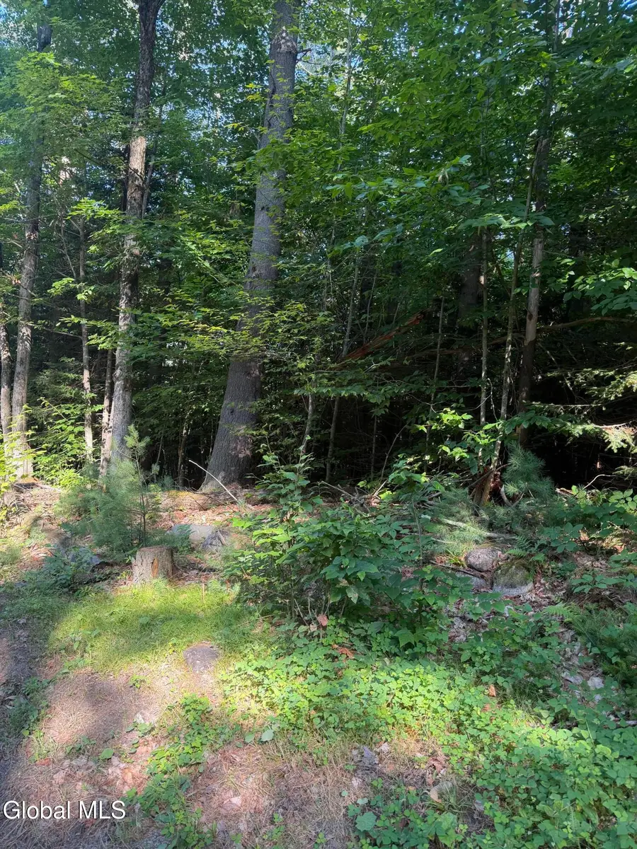 L4 Jim Younes Road, Horicon, NY 12815 - #3