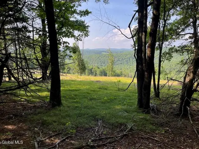 L49 Laura Lane, Broome, NY 12122 - #1