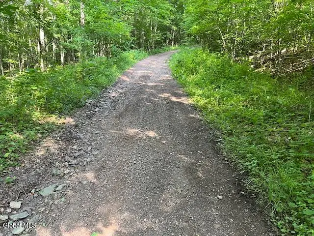 L49 Laura Lane, Broome, NY 12122 - #3