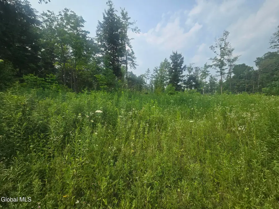 L5 Hickory Hill Road, Fort Plain, NY 13339 - #2