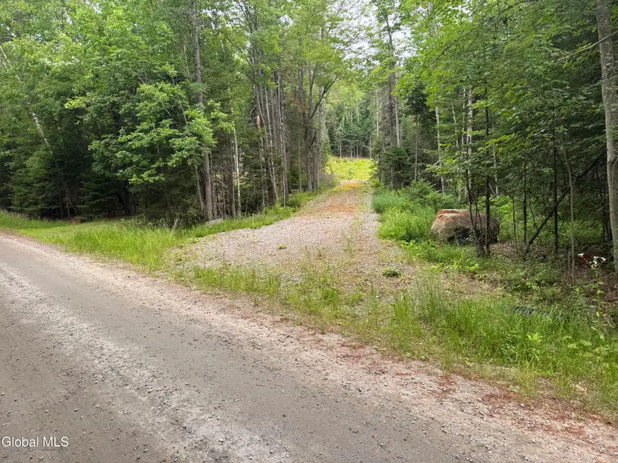 L23 Lake Snow Road, Indian Lake, NY 12842 - #2