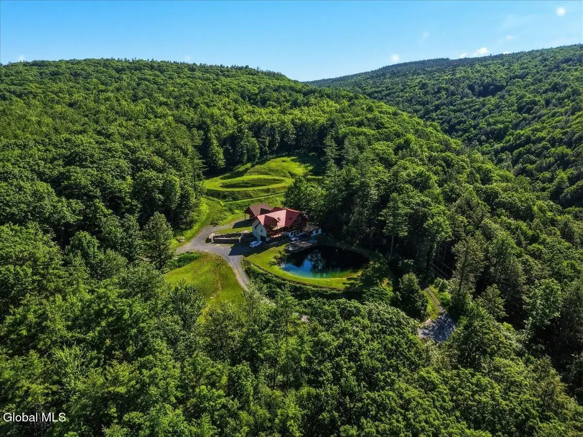 165 Vaughn Hill Road, Broome, NY 12122 - #1