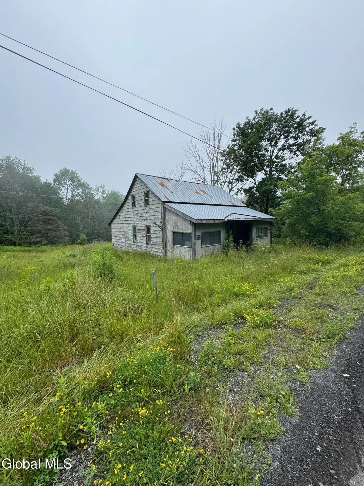 707 S Mountain Road, Conesville, NY 12076 - #1