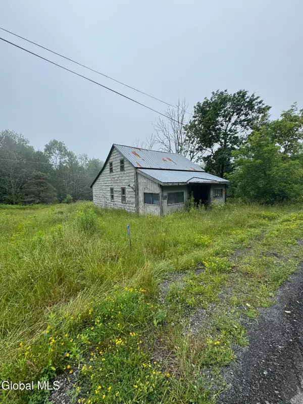707 S Mountain Road, Conesville, NY 12076