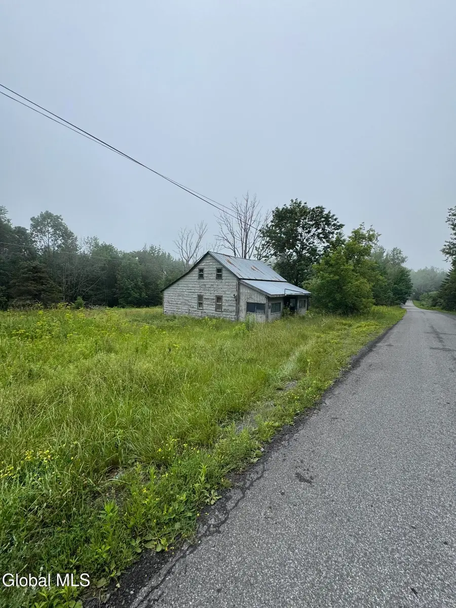 707 S Mountain Road, Conesville, NY 12076 - #3