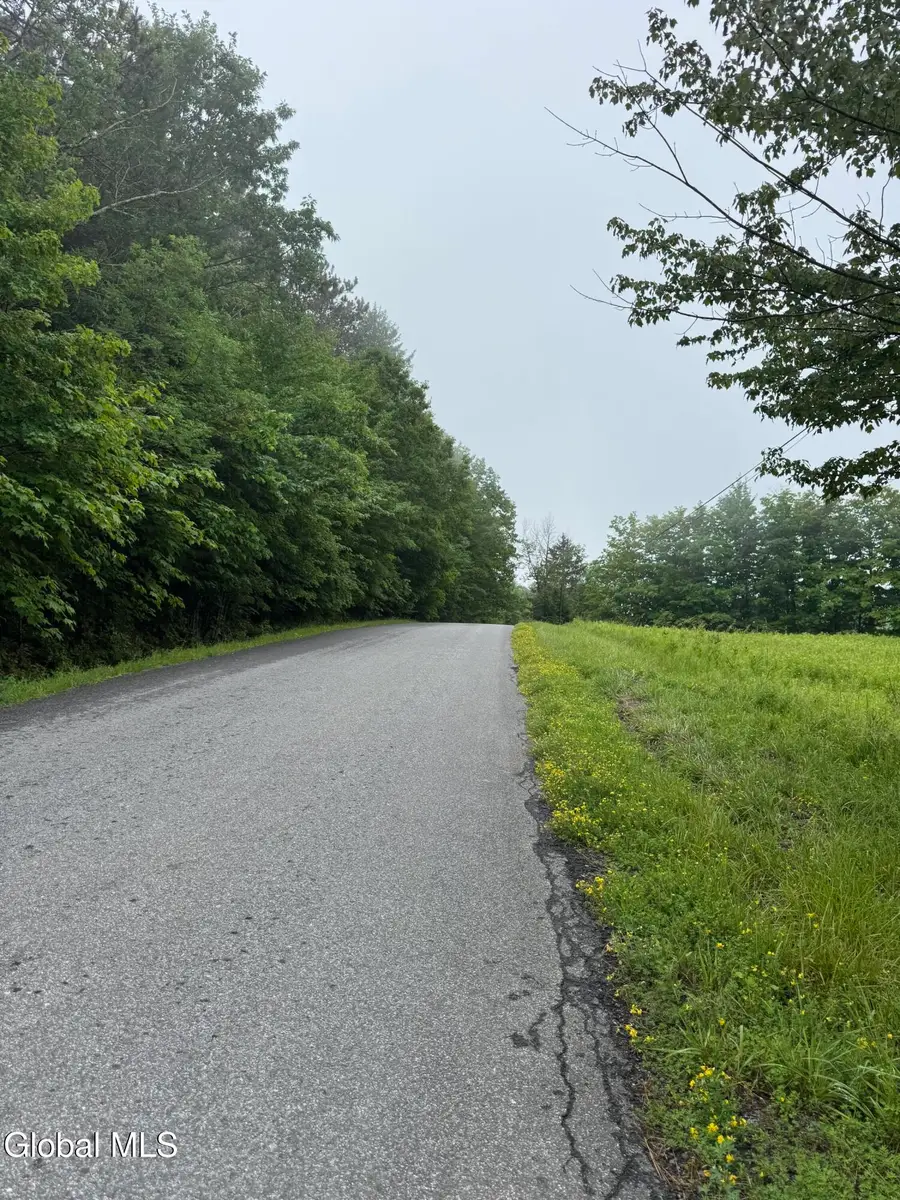 0 Cook Road, Conesville, NY 12076 - #2