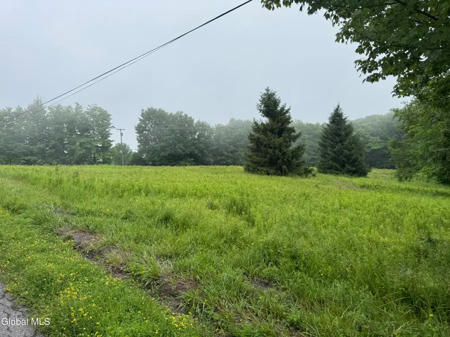 0 Cook Road, Conesville, NY 12076 - #3