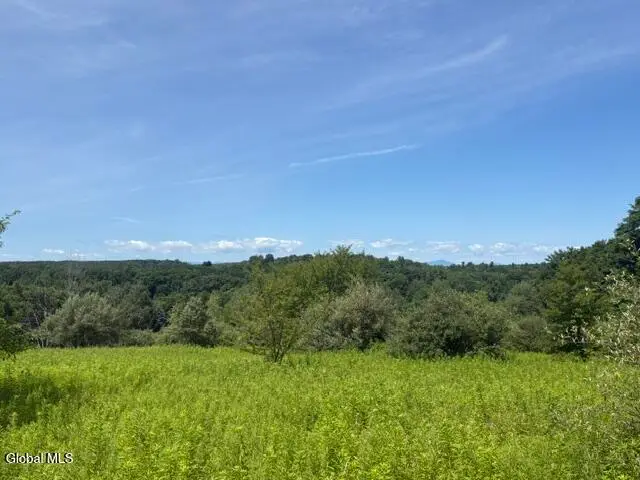 81 Maiers Road, Taghkanic, NY 12521 - #1