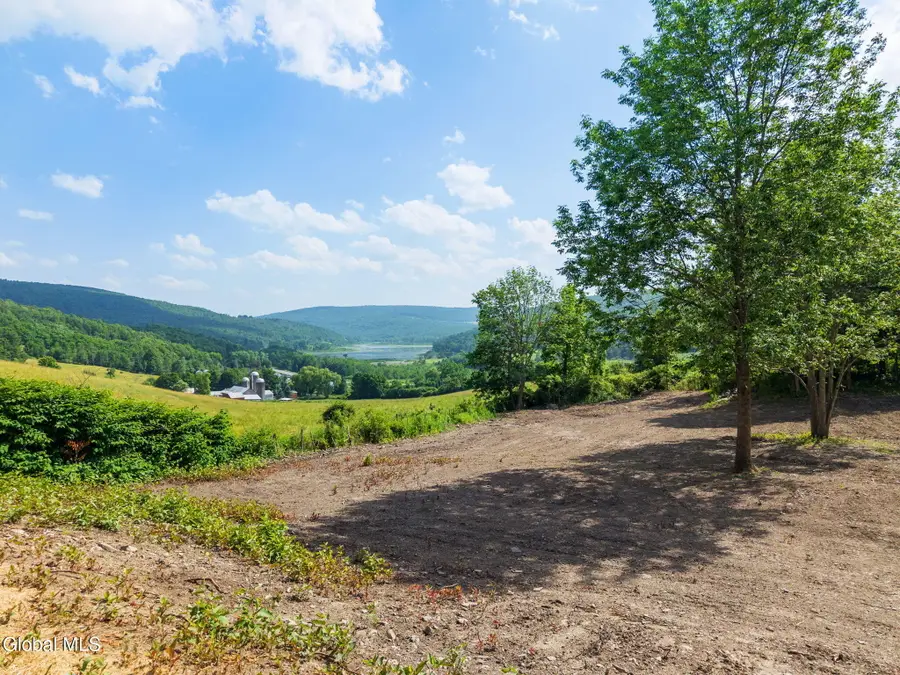 132 Debar Hill Road, Middleburgh, NY 12122 - #3