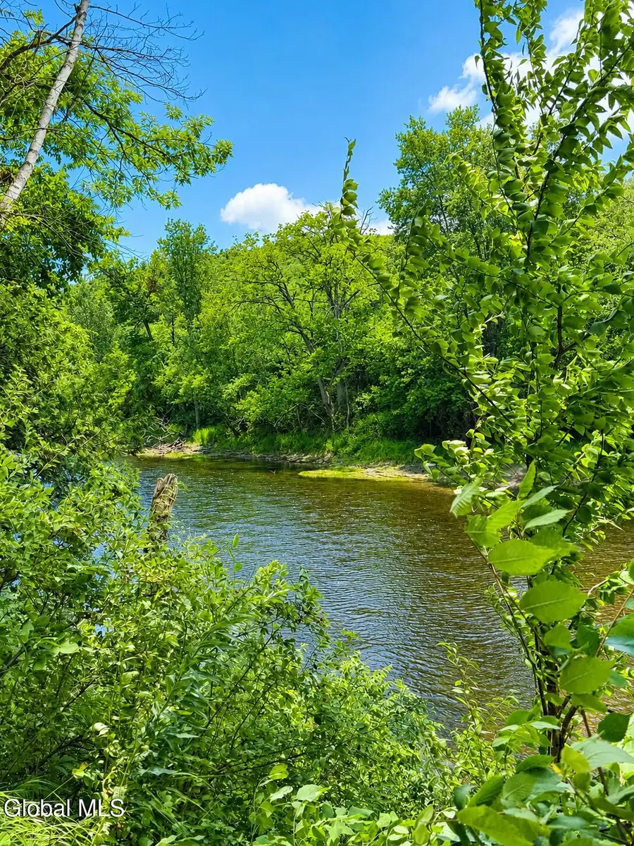 L1 East Schroon River Road, Diamond Point, NY 12824 - #3