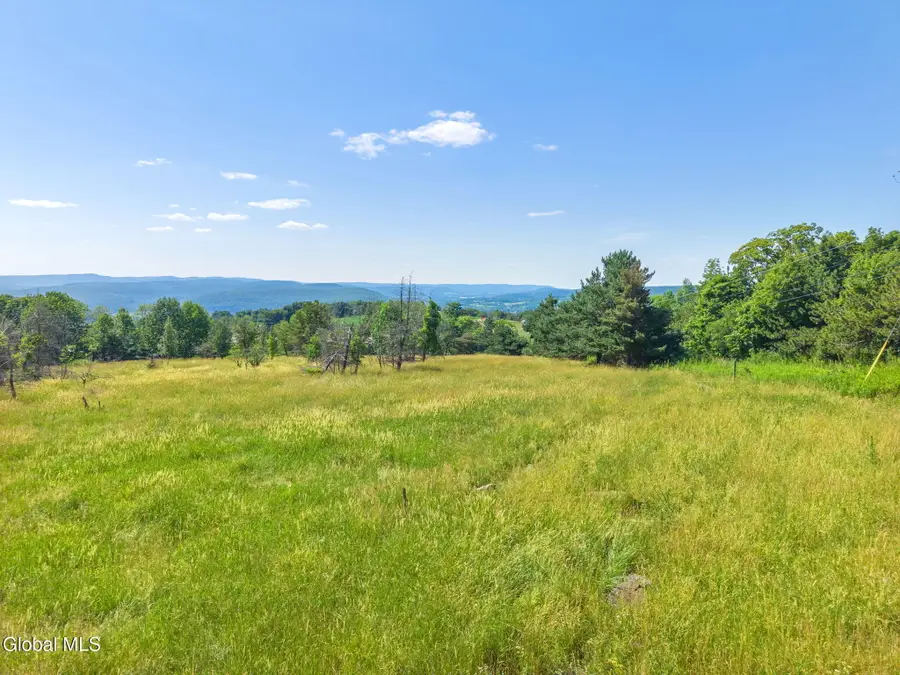 L57-L58 W Fulton Road, Warnerville, NY 12187 - #3