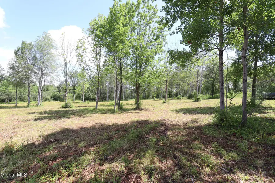 468 Middle Road, Knox, NY 12107 - #3