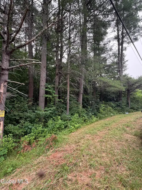 L1 Nine Mile Tree Road, Mayfield, NY 12117