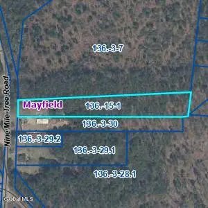 L1 Nine Mile Tree Road, Mayfield, NY 12117 - #3