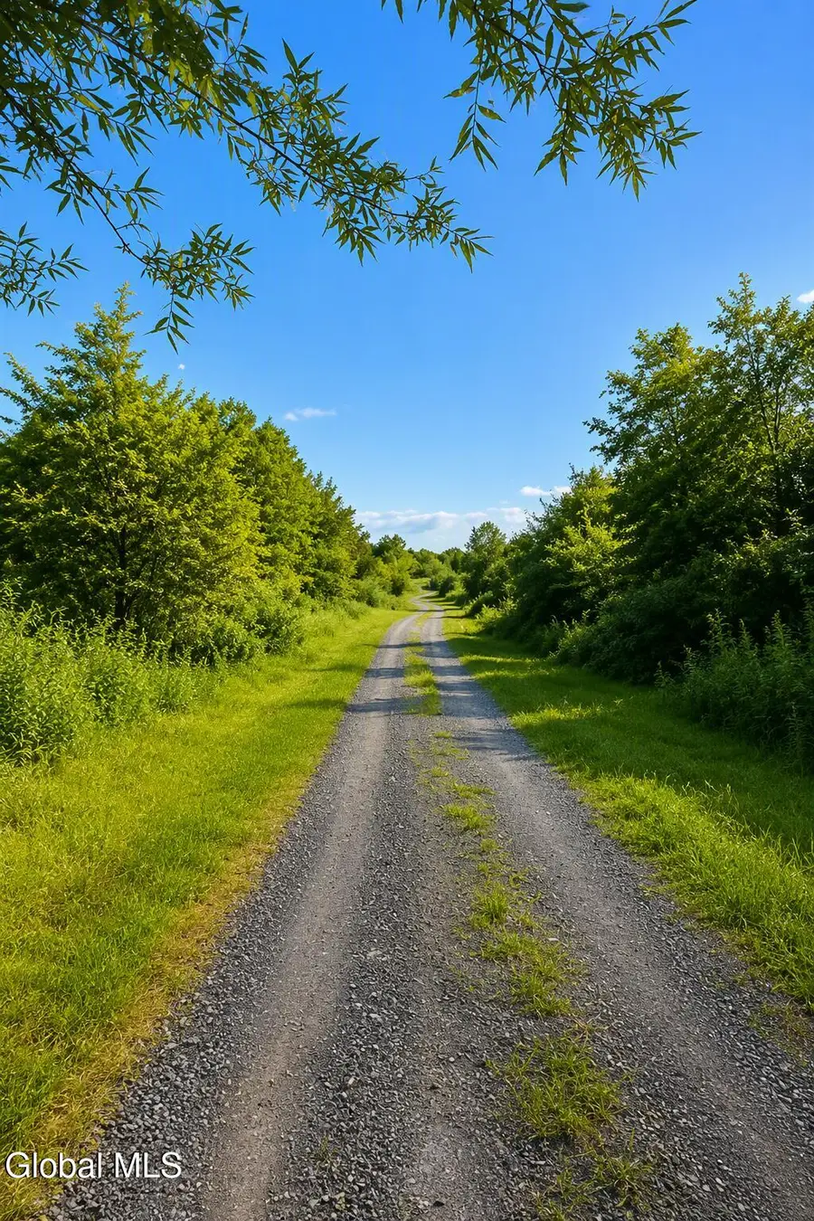 L11.1 Laura Lane, Ravena, NY 12143 - #3