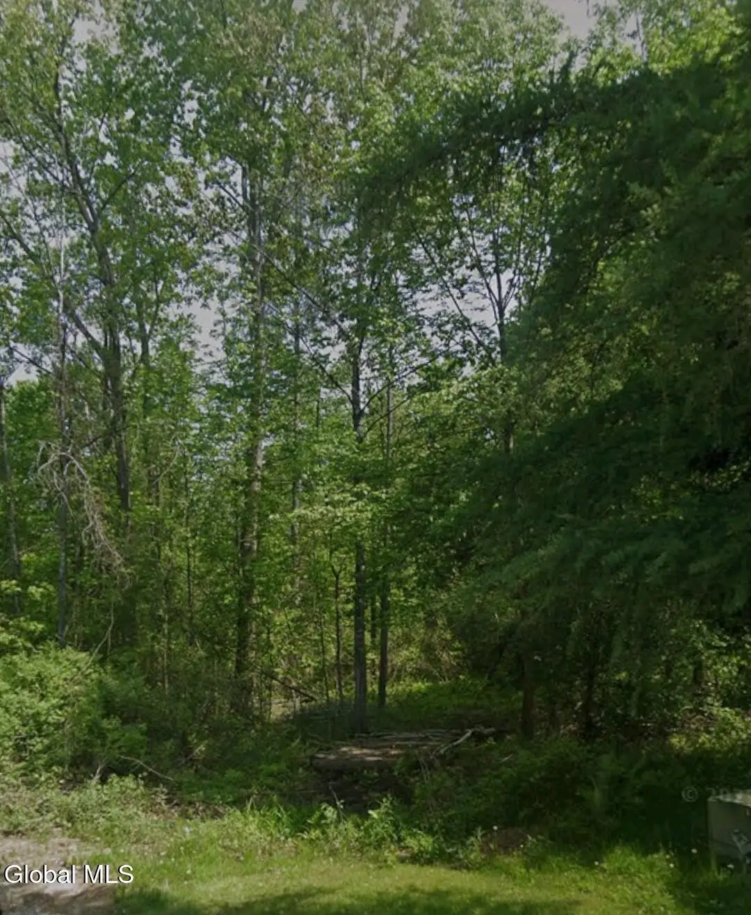L 20.2 Pleasant View Drive, Johnstown, NY 12078 - #1