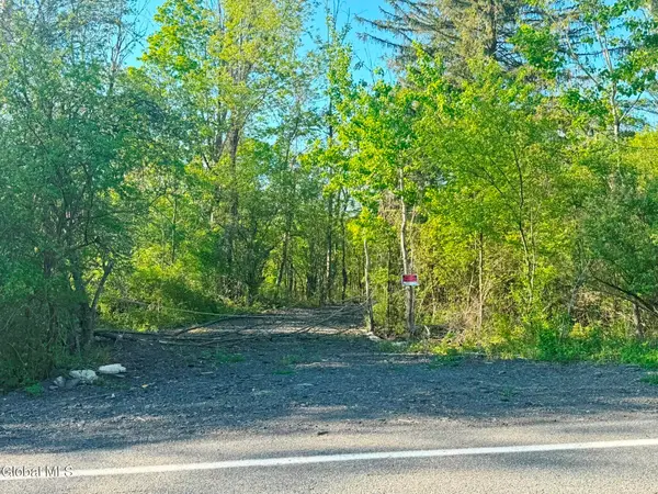 L 1-48 Beaver Dam Road, New Scotland, NY 12186