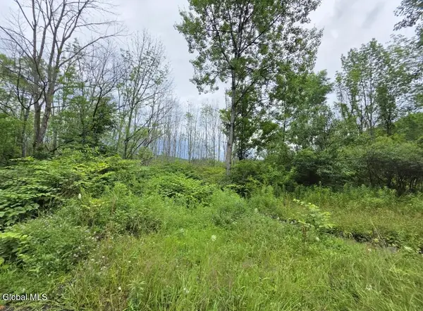 L28.03 Halbert Hill Road, Butternuts, NY 13843