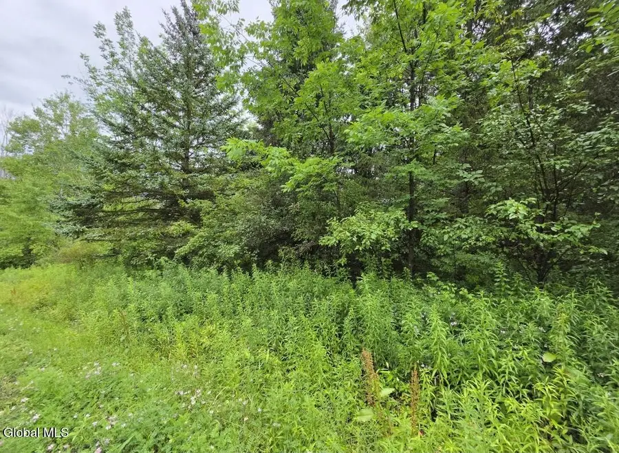 L28.03 Halbert Hill Road, Butternuts, NY 13843 - #2