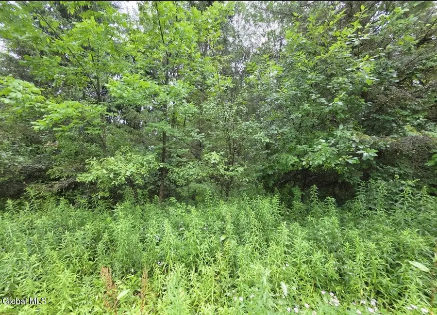 L28.03 Halbert Hill Road, Butternuts, NY 13843 - #3
